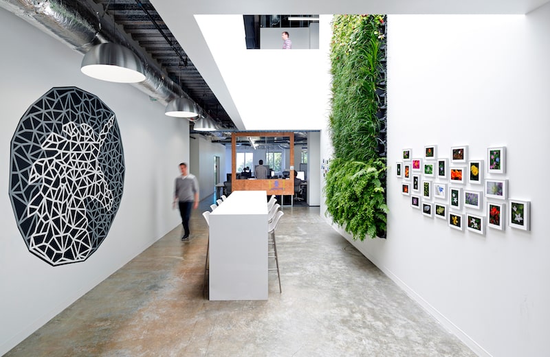 hallway view of Meta office with live greenery planted in wall and person walking through