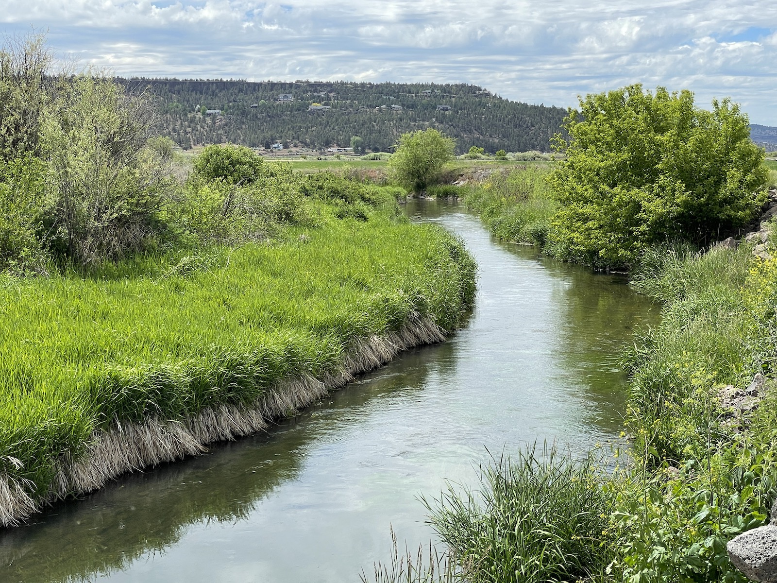 flowing water in Oregon's Ochoco Creek