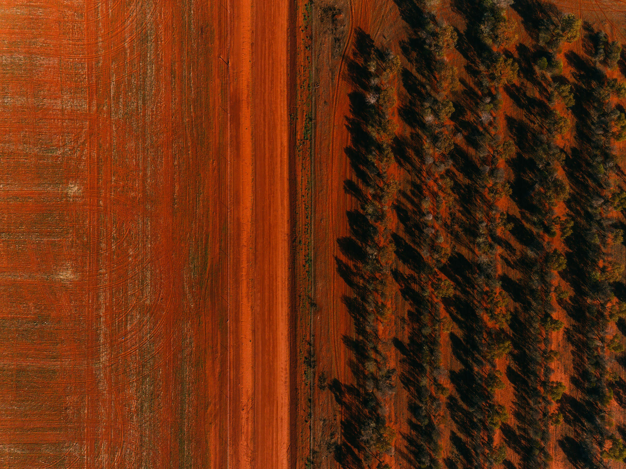 aerial view of red fields