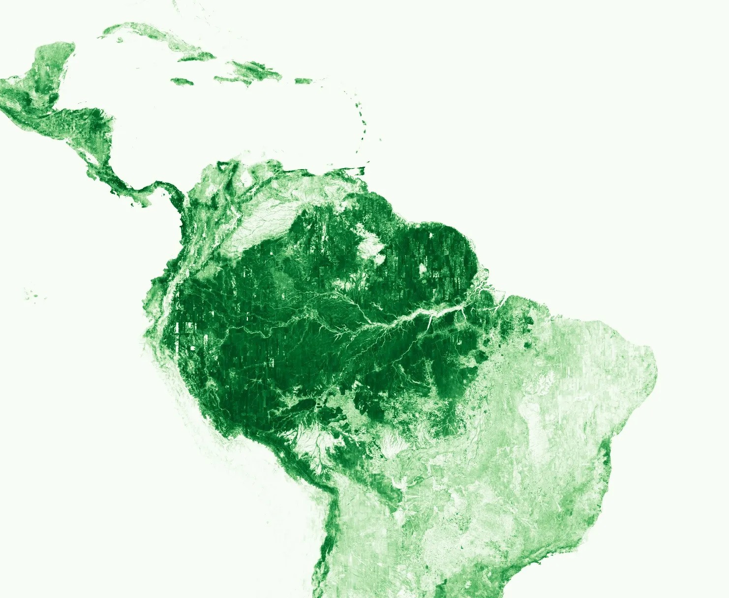 Map showing amazon forest zone