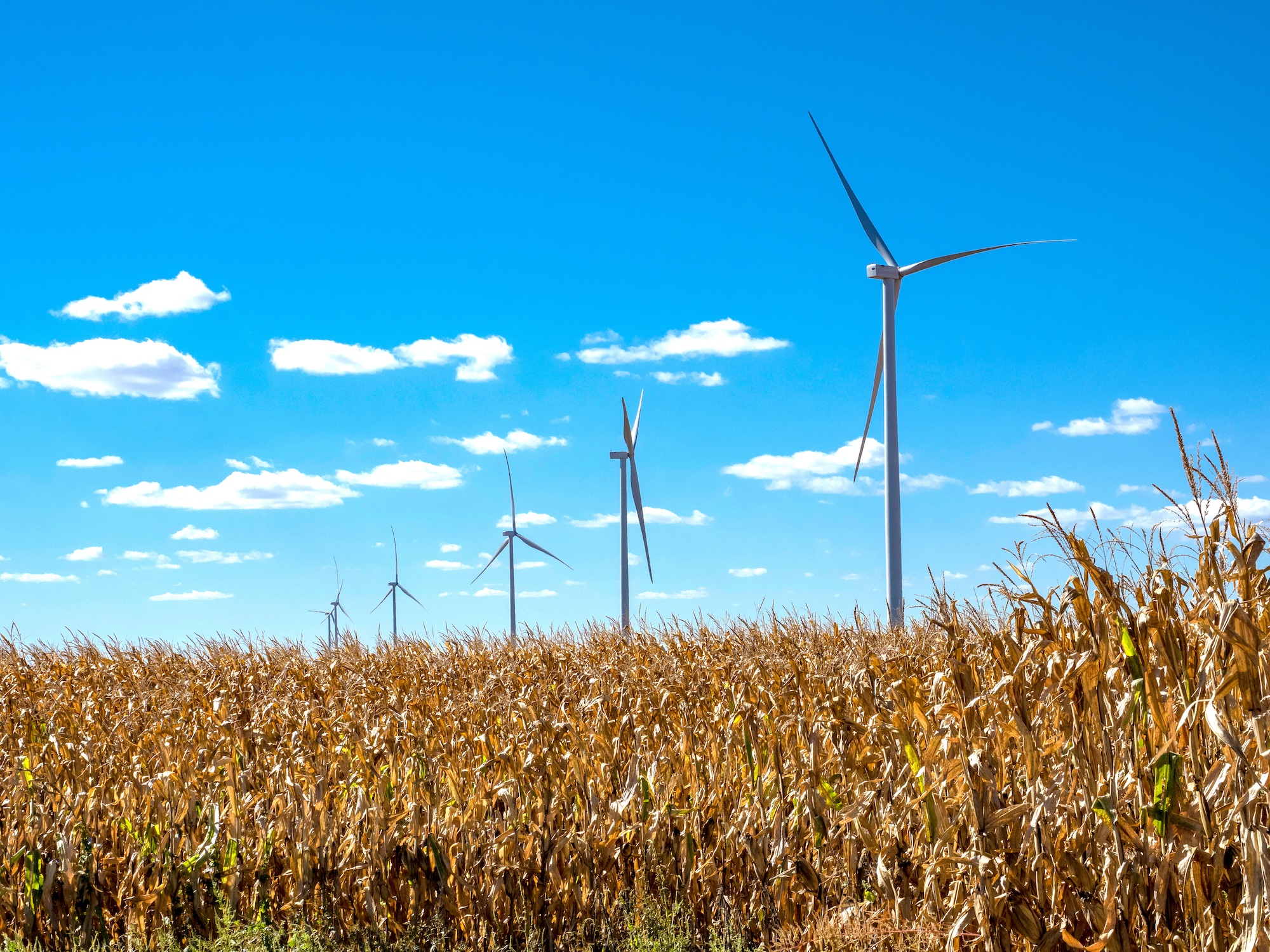 View of a farm with wind turbines in view