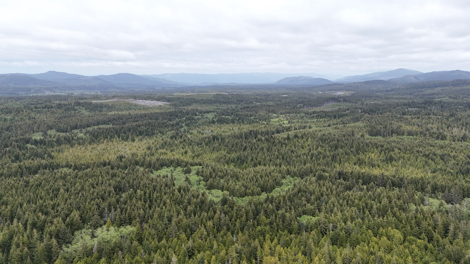 aerial view of the nolan creek flats