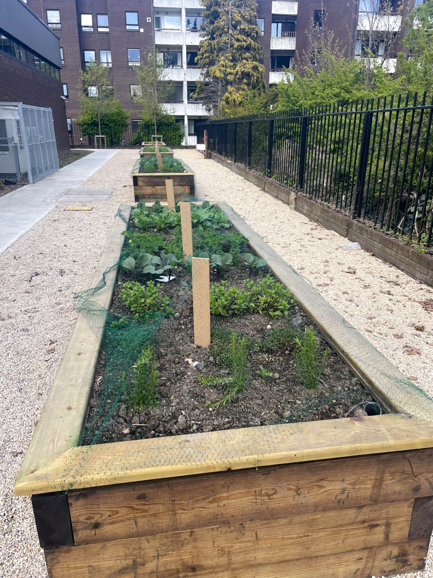 Pollinator garden at local school in Tennessee