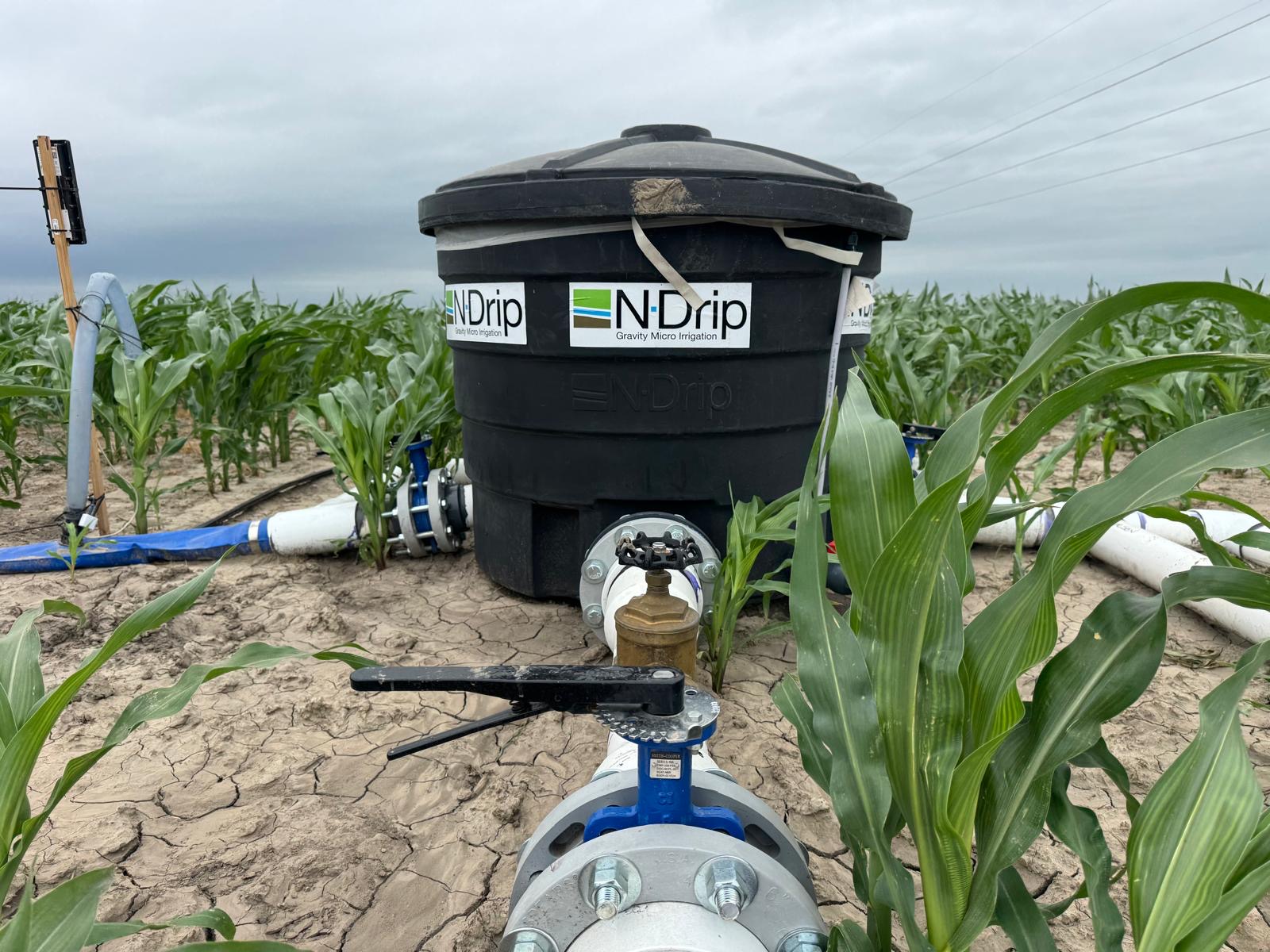 N-Drip precision drip irrigation system in cropland 