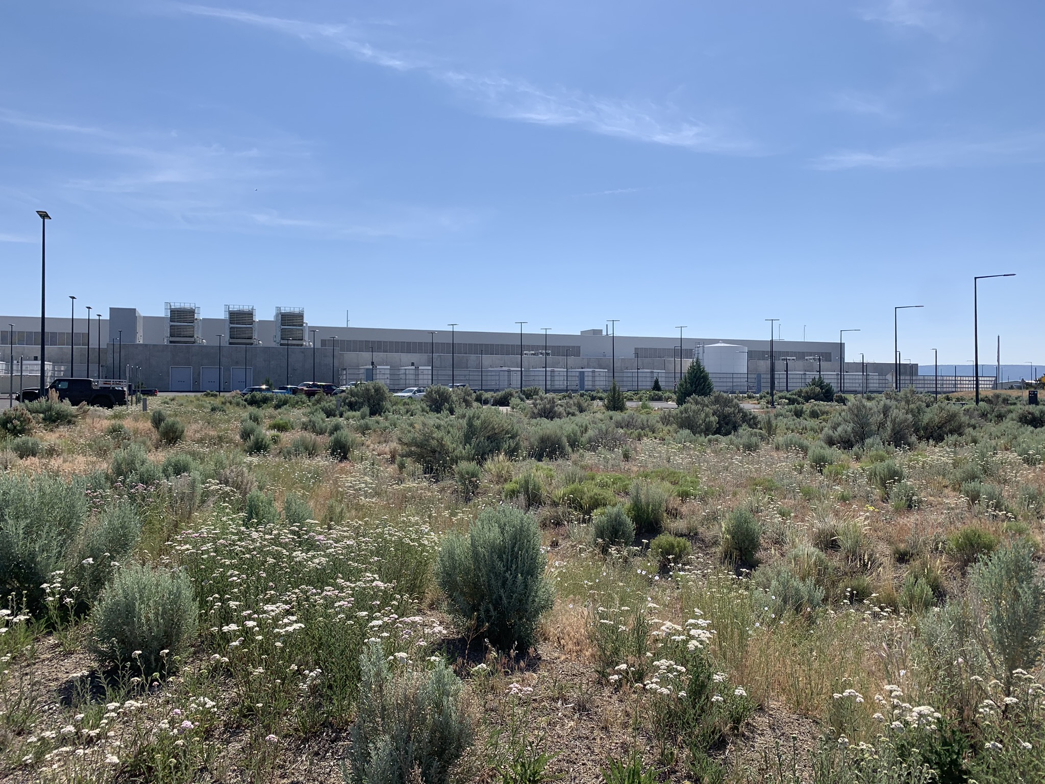 View of the Prineville, Oregon Meta campus building surrounded by native grasses and perennials