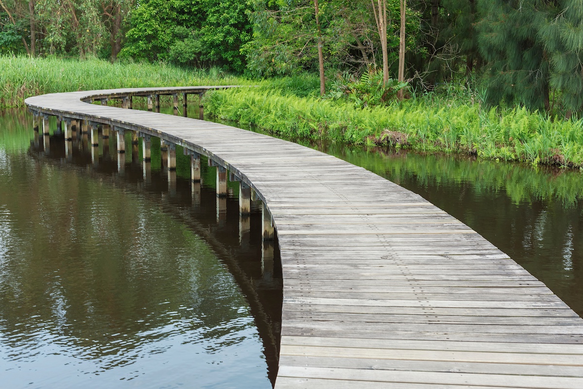 Wooden bridge across a marsh 