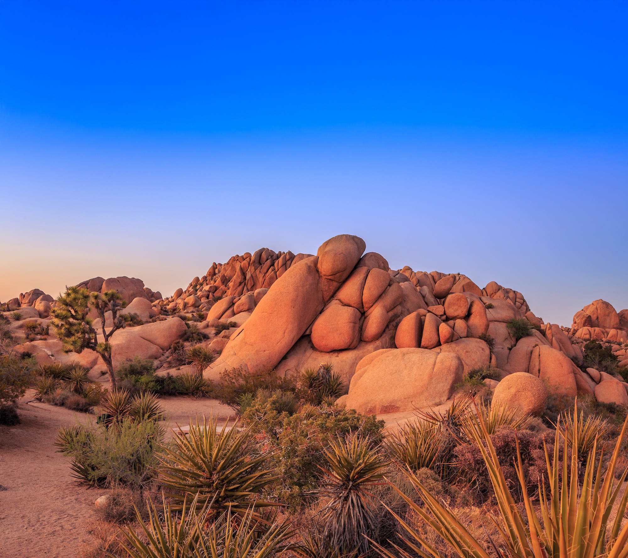 Rock formation in desert landscape