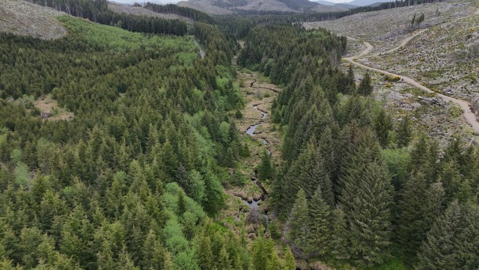 Aerial view of the coal creek riparean zone