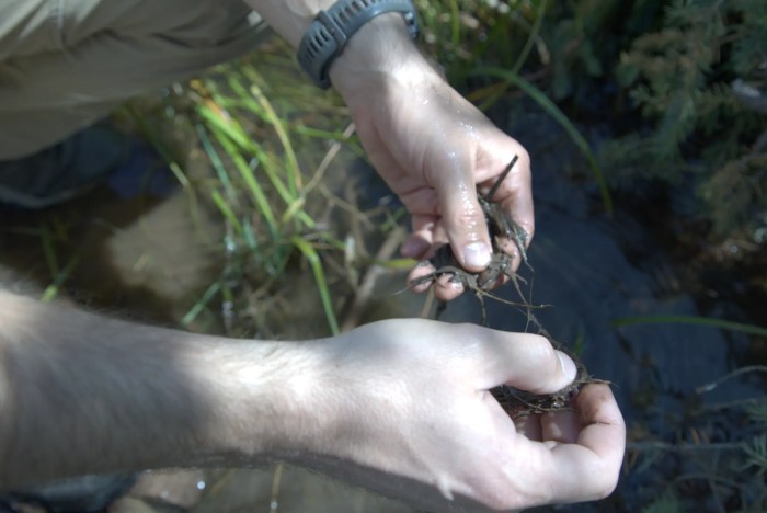 Close up of hands inspecting conditions of water